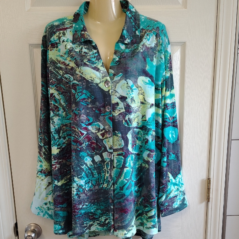 Parsley & Sage Teal and Blue Button Down Shirt
